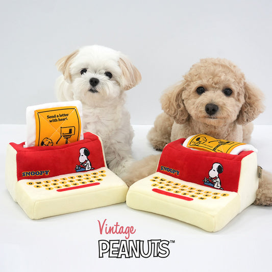 Peanuts VIntage Typewriter Toy