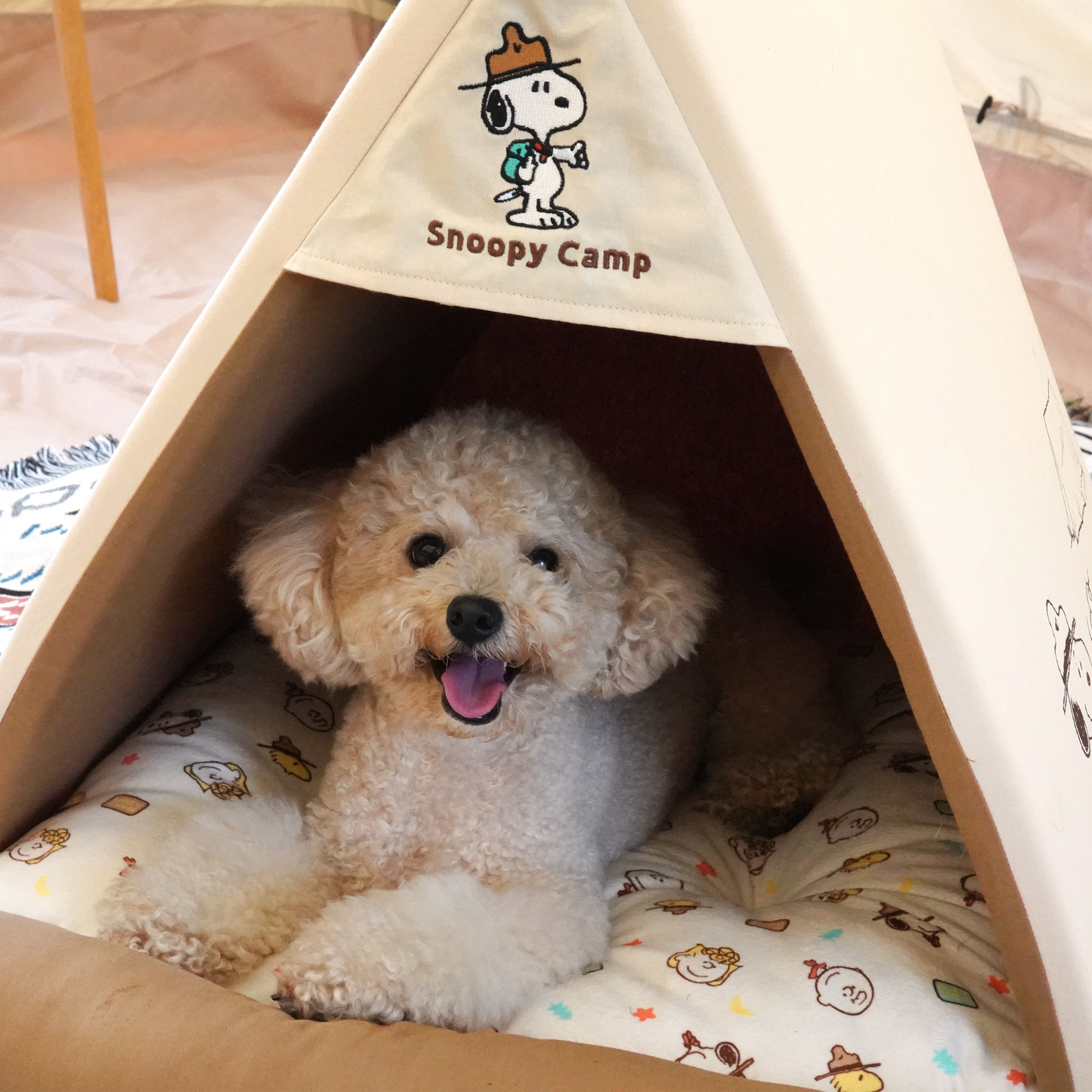 Peanuts Scout Camp House