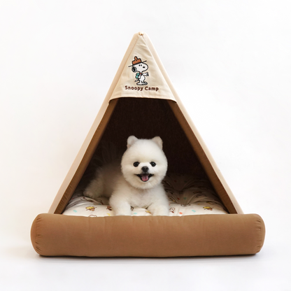 Peanuts Scout Camp House