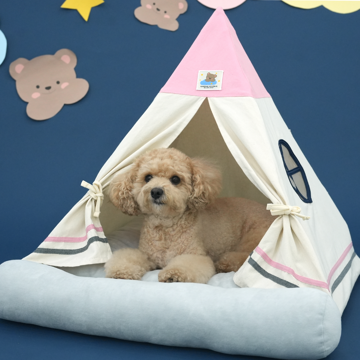 Home & Home Tent House