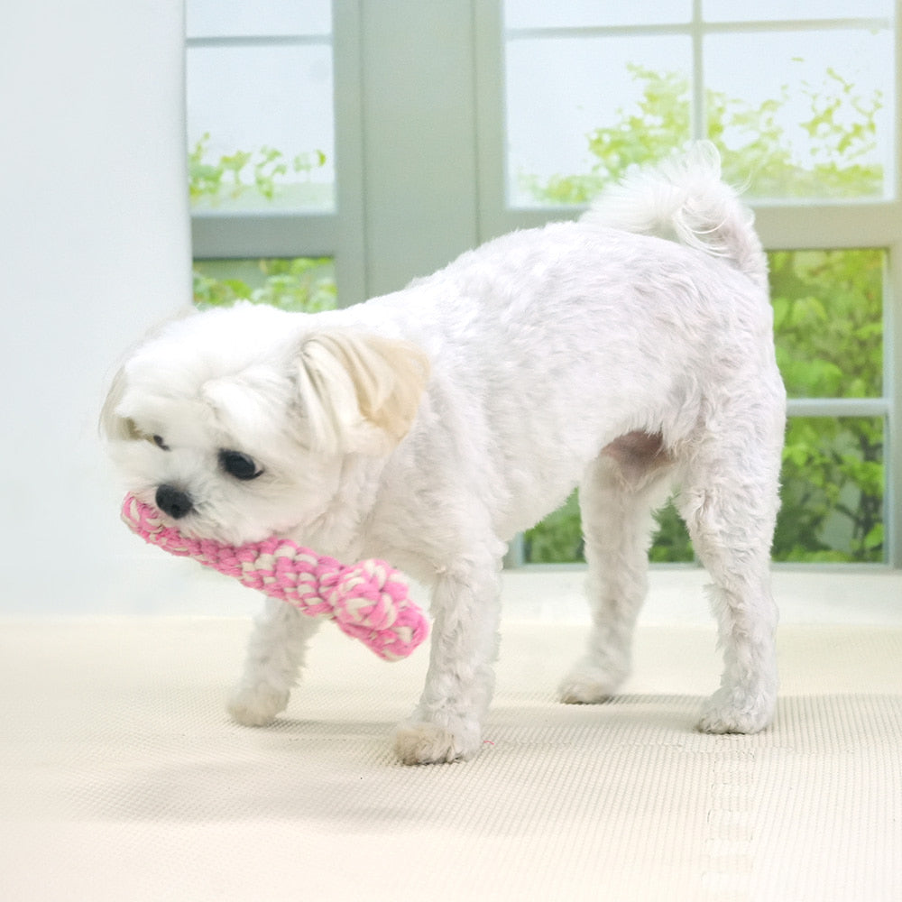 Dental Rope Toy