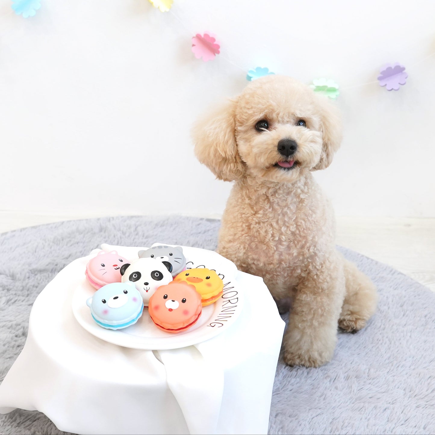 Animal Macaron Latex Toy