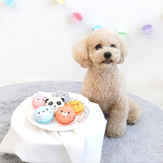 Animal Macaron Latex Toy