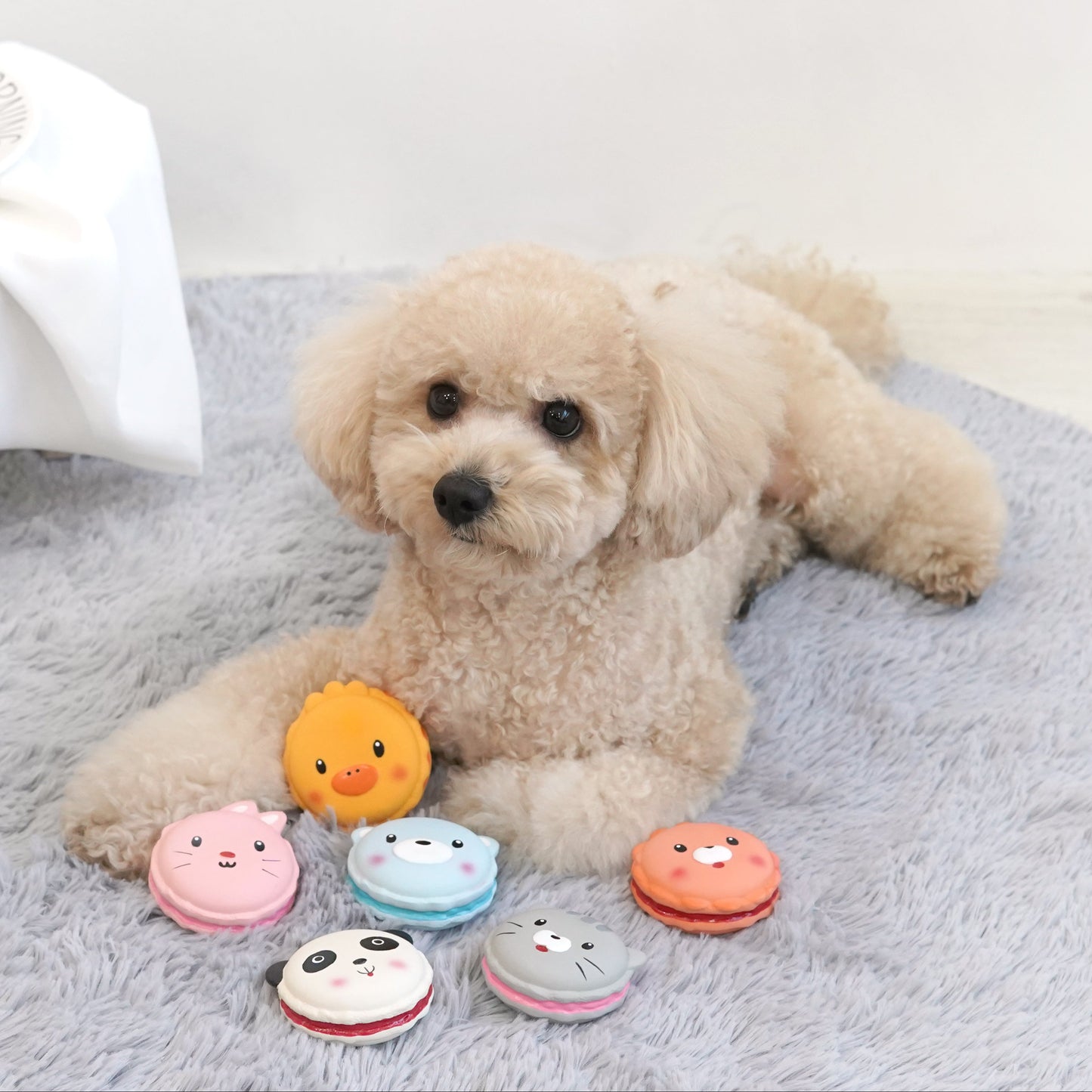 Animal Macaron Latex Toy