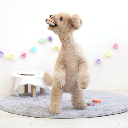 Animal Macaron Latex Toy