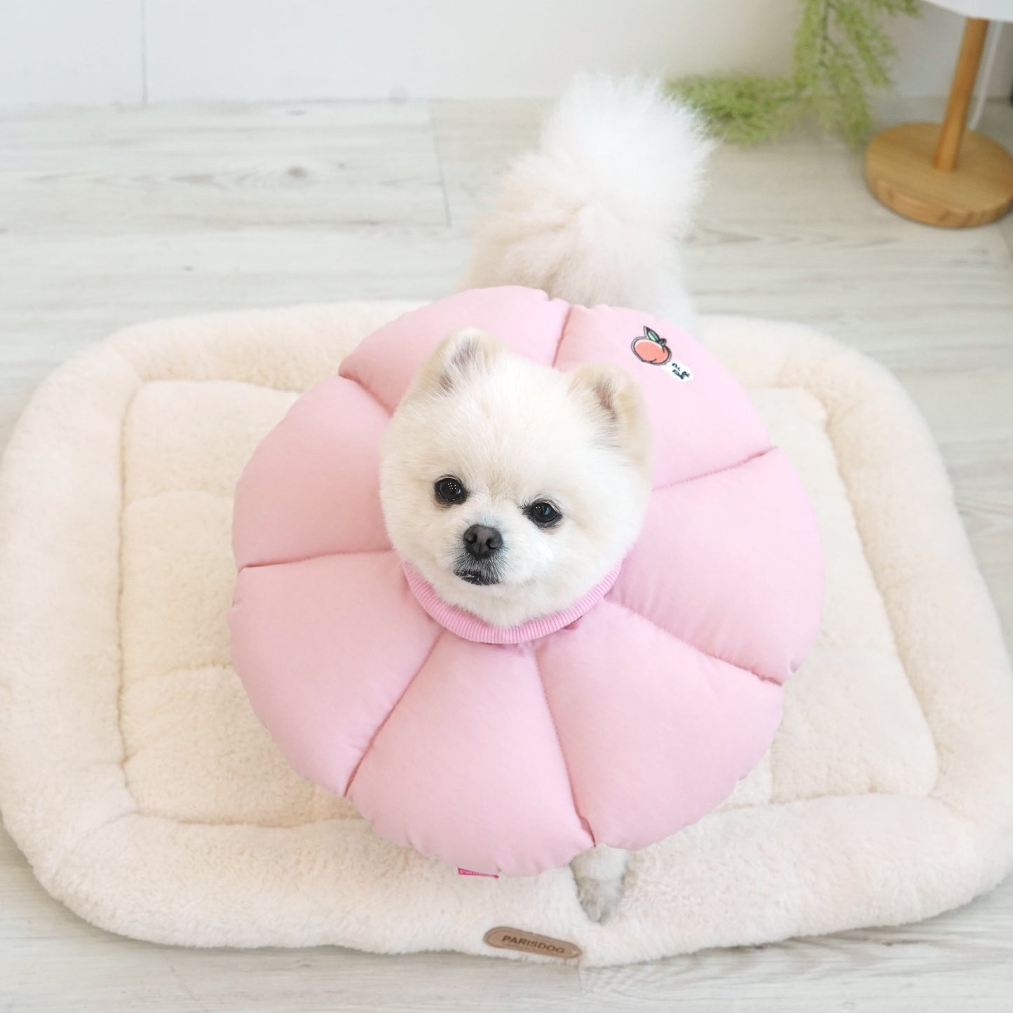 Good Sleeping Collar