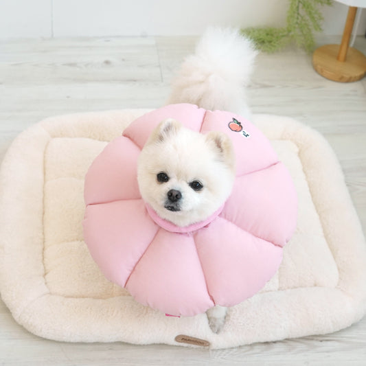 Good Sleeping Collar