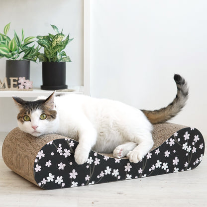 Montecillo Scratcher (2 Types)