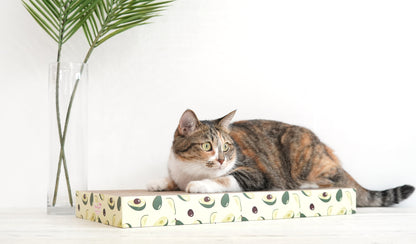 Pariscat Square Scratcher 2 Types