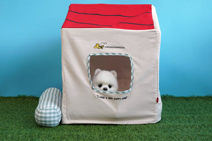 Snoopy Frame House