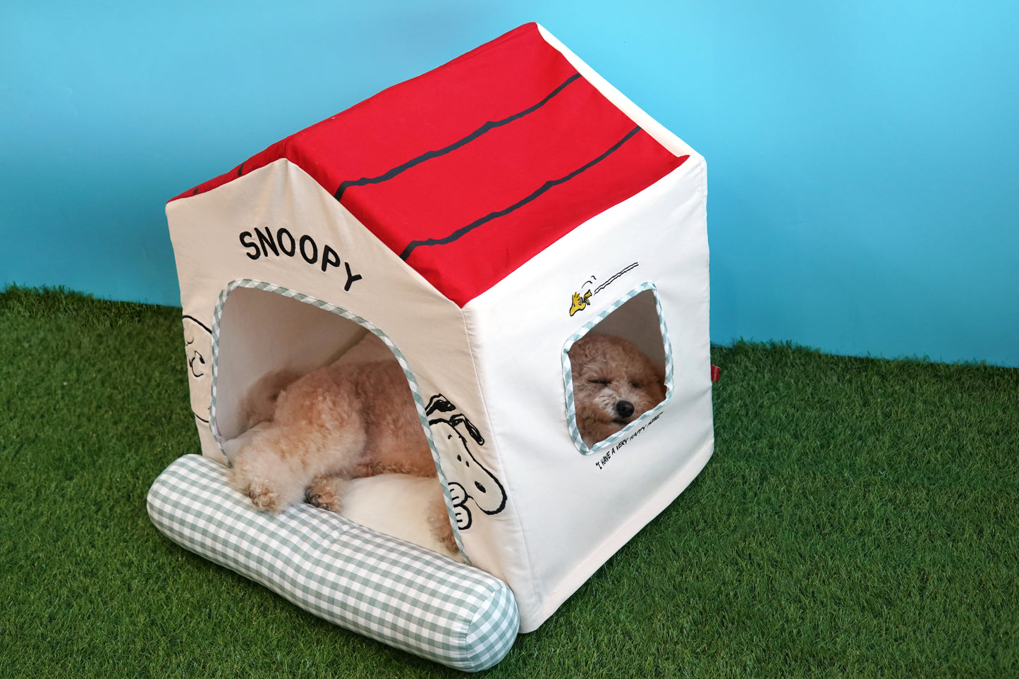 Snoopy Frame House