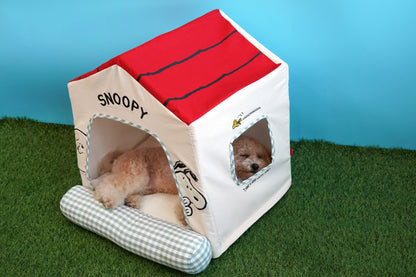 Snoopy Frame House