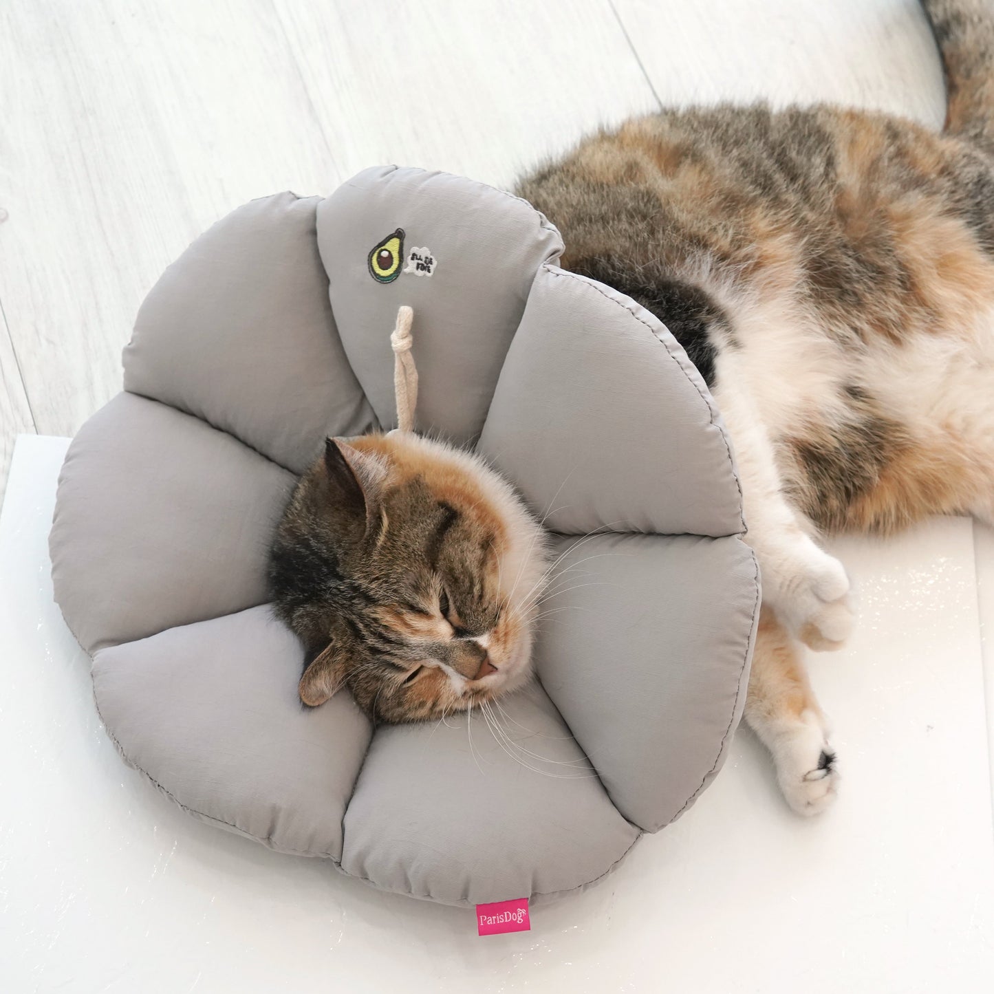 Good Sleeping Collar