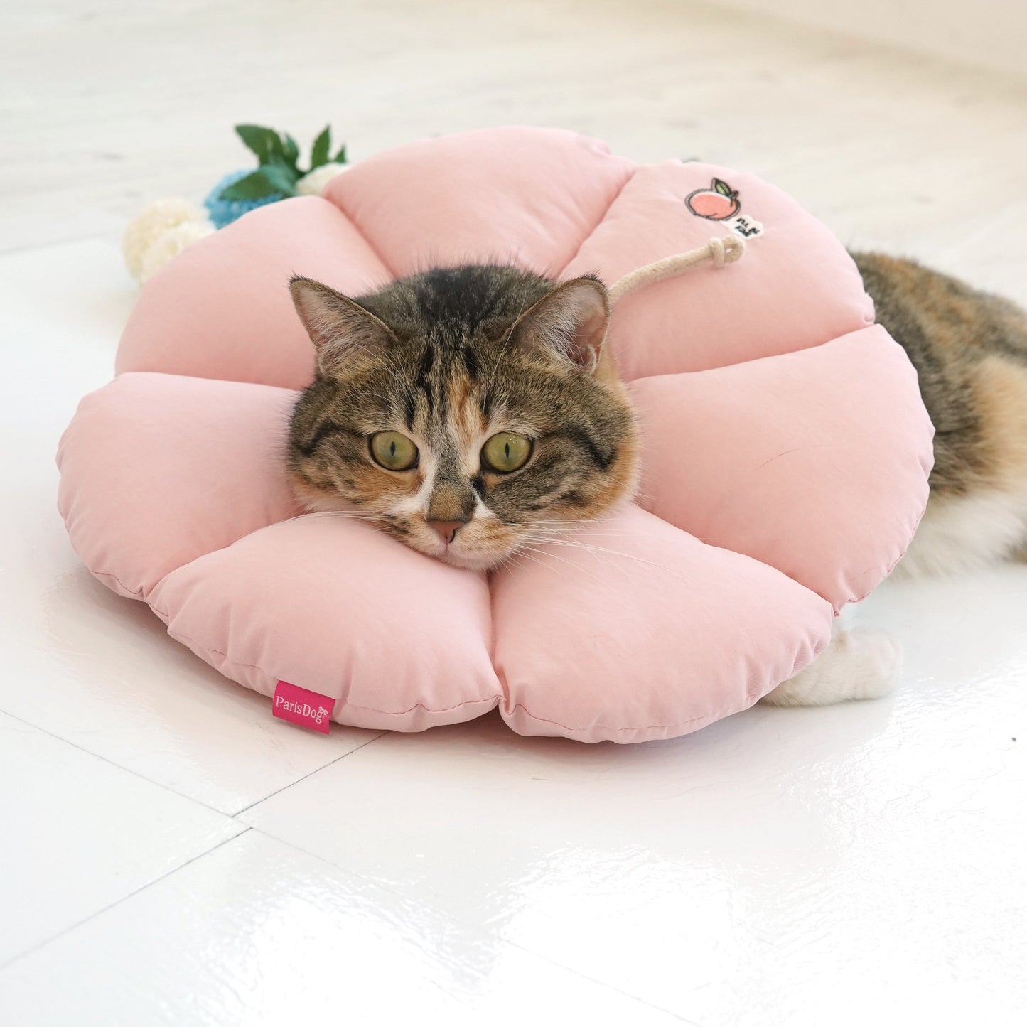 Good Sleeping Collar