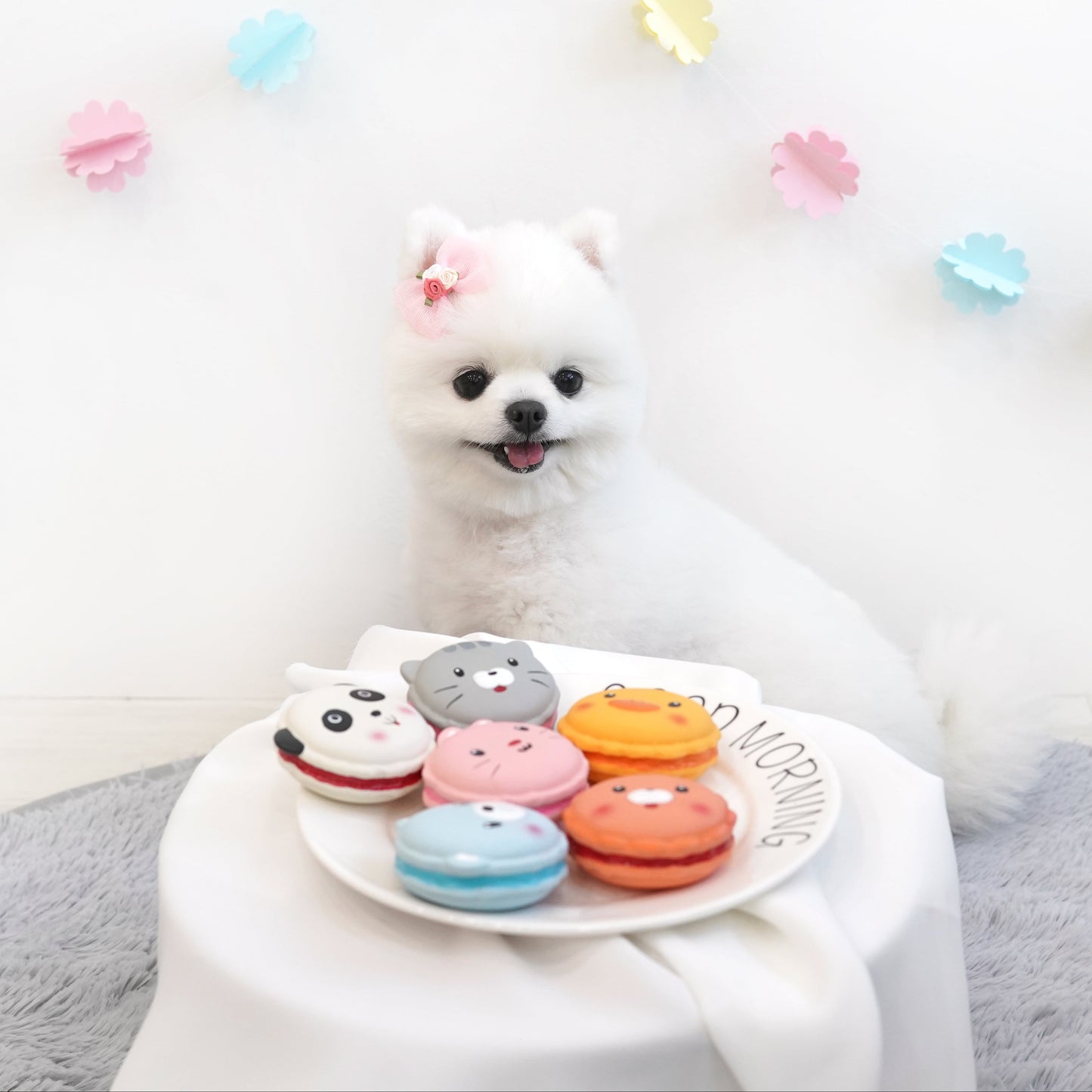 Animal Macaron Latex Toy