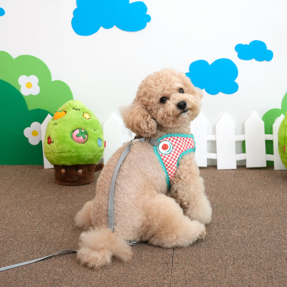 Fruit Bib Harness