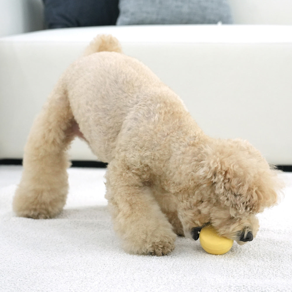 Happy Smile Latex Toy