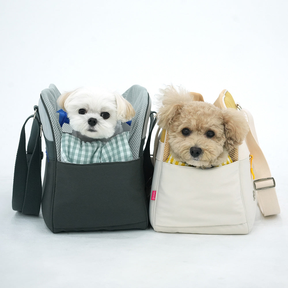 Roomy Pet Carrier