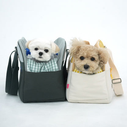 Roomy Pet Carrier