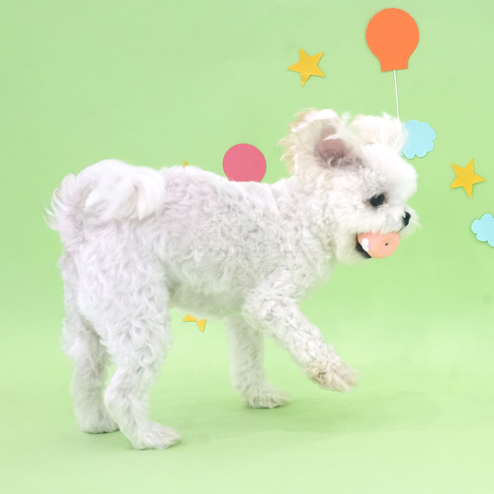 Circle Character Ball Latex Toy