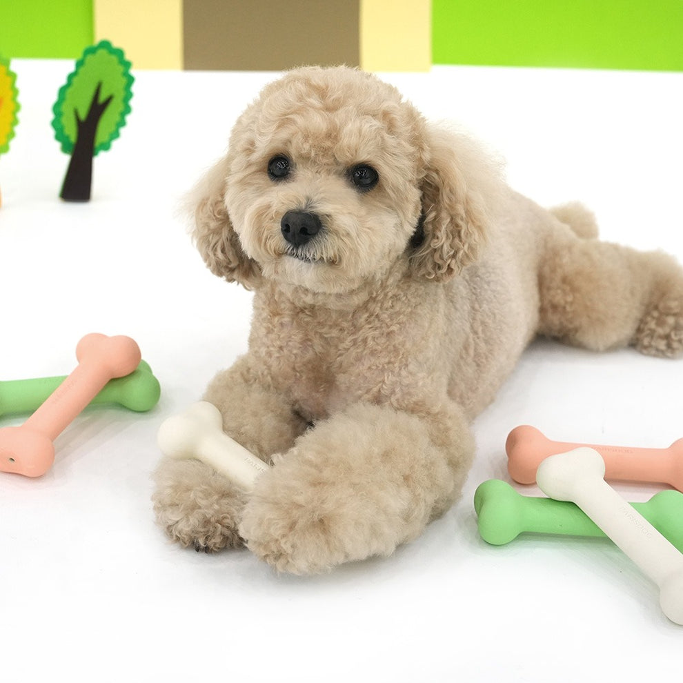 Smooth Bone Latex Toy – ParisDog PH