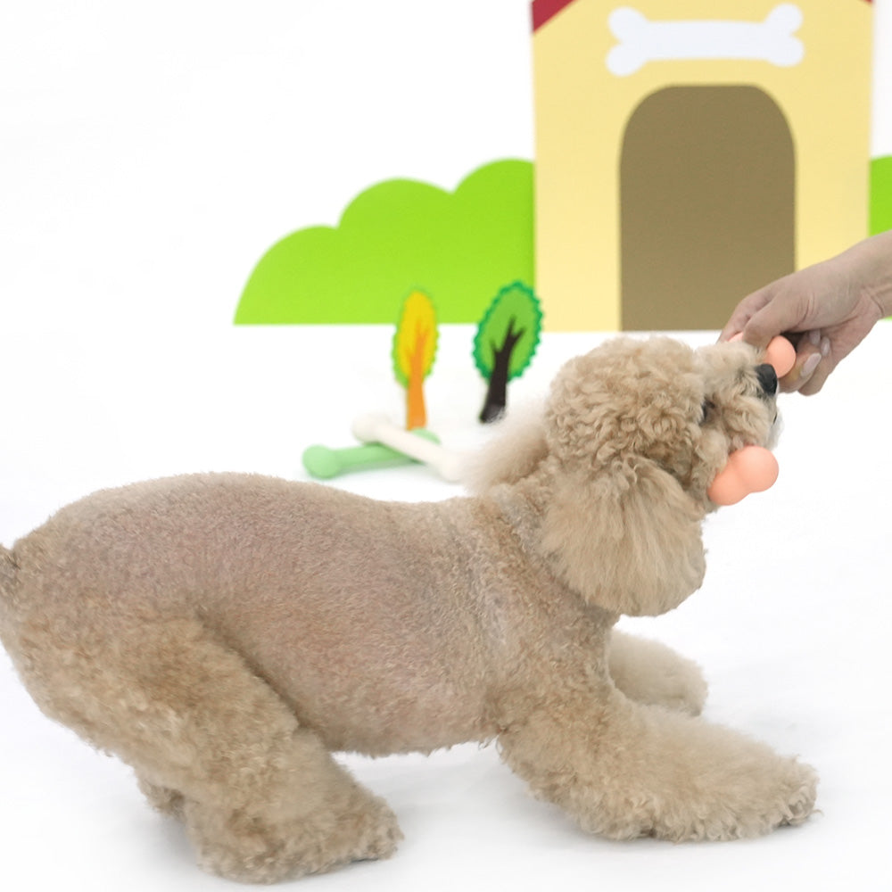 Smooth Bone Latex Toy