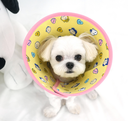 Peanuts Elizabeth Collar 2