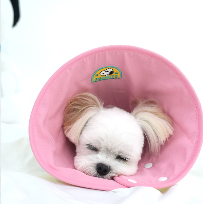 Peanuts Elizabeth Collar 2