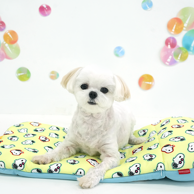 Peanuts Bubble Ice Cool Multi Cushion