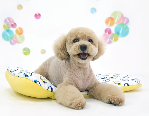 Peanuts Bubble Ice Cool Multi Cushion