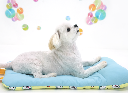 Peanuts Bubble Ice Cool Multi Cushion