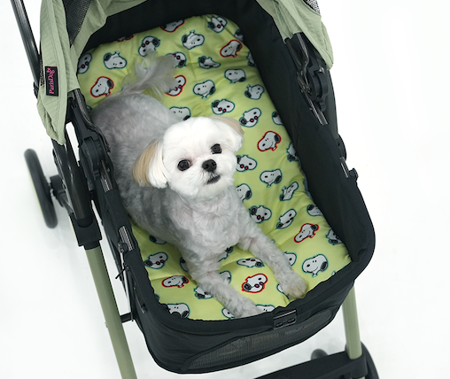 Peanuts Bubble Ice Cool Multi Cushion