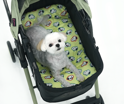 Peanuts Bubble Ice Cool Multi Cushion