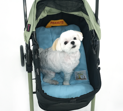 Peanuts Bubble Ice Cool Multi Cushion