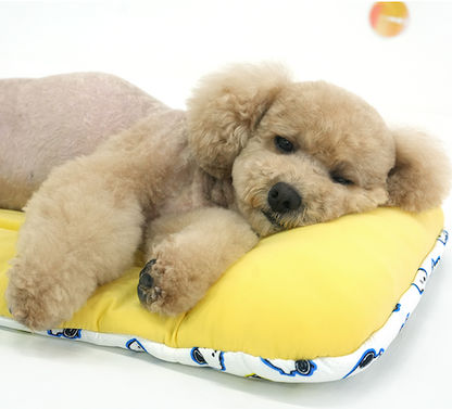 Peanuts Bubble Ice Cool Multi Cushion