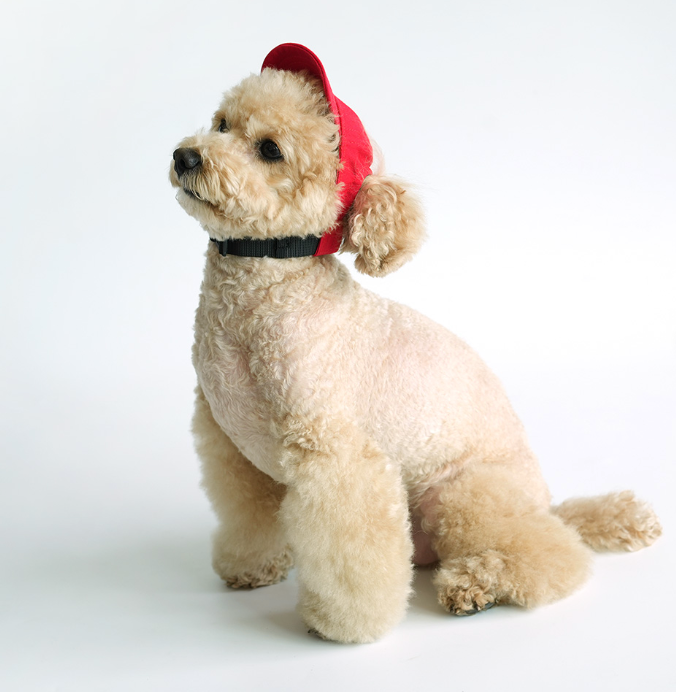 Peanuts Vintage Ball Cap