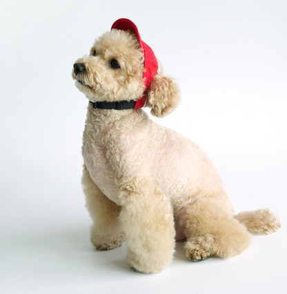 Peanuts Vintage Ball Cap