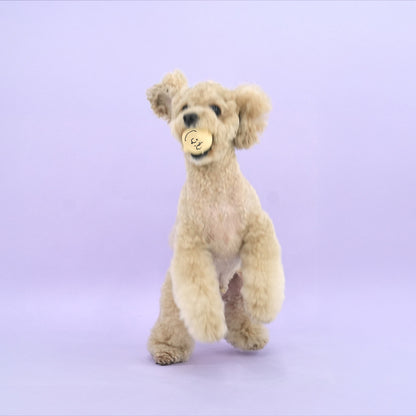 Peanuts Emoji Latex Toy Set