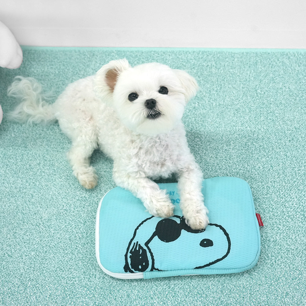 Peanuts Bubble Ice Cool Pouch