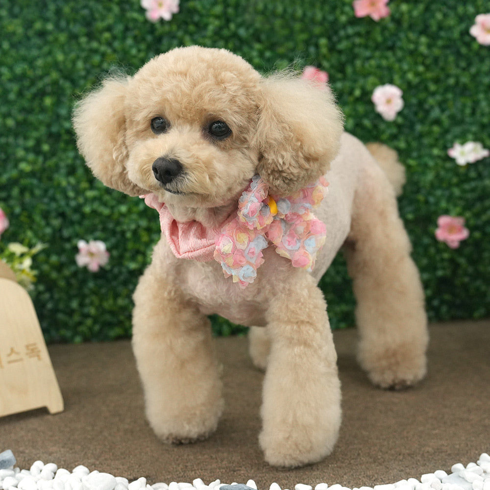 Lovely Pet Scrunchie