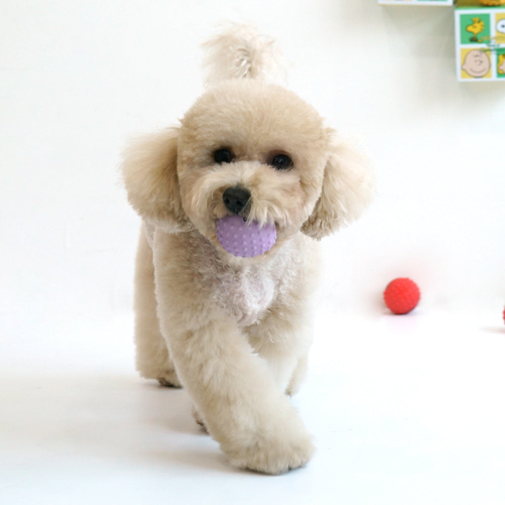 Peanuts Small Ball Latex Toy (4pcs)