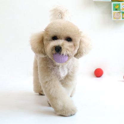 Peanuts Small Ball Latex Toy (4pcs)