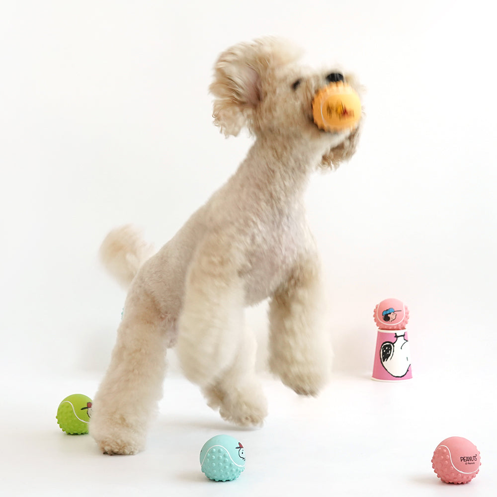 Peanuts Medium Ball Latex Toy