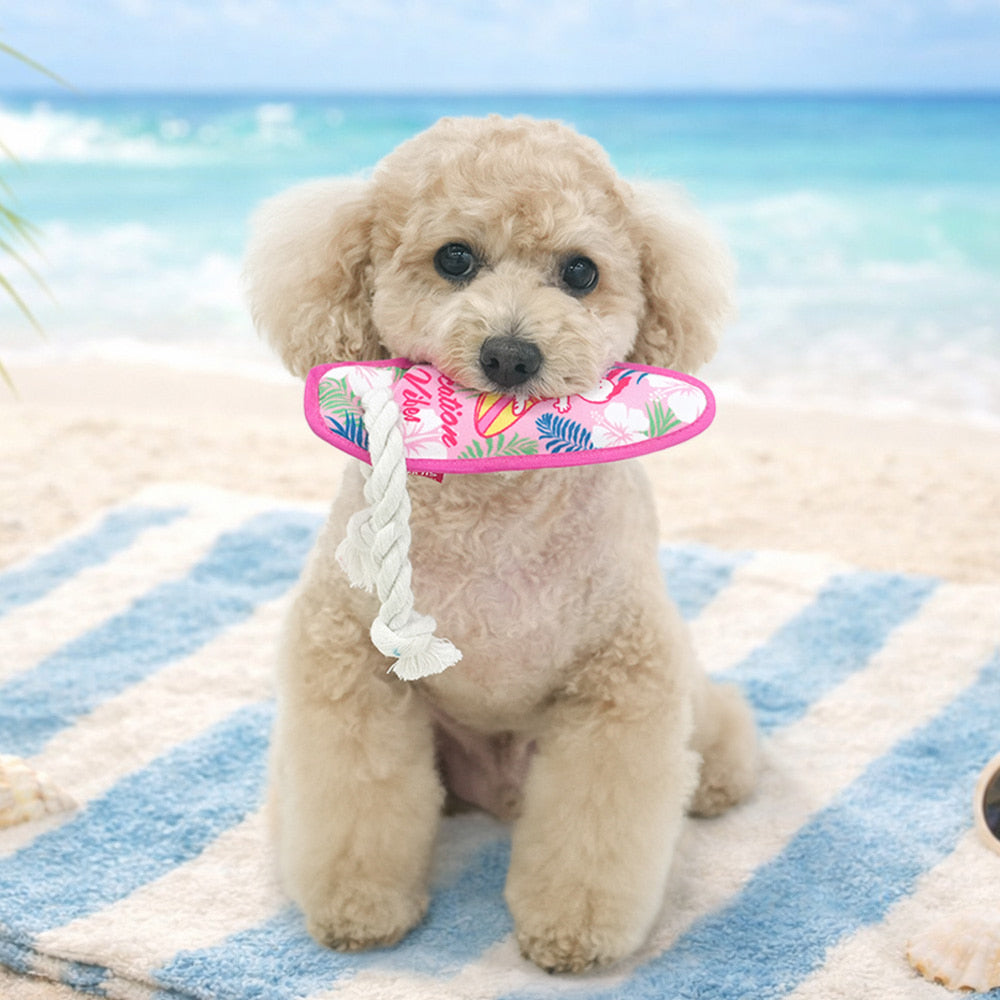 Peanuts Surfing Board Rope Toy