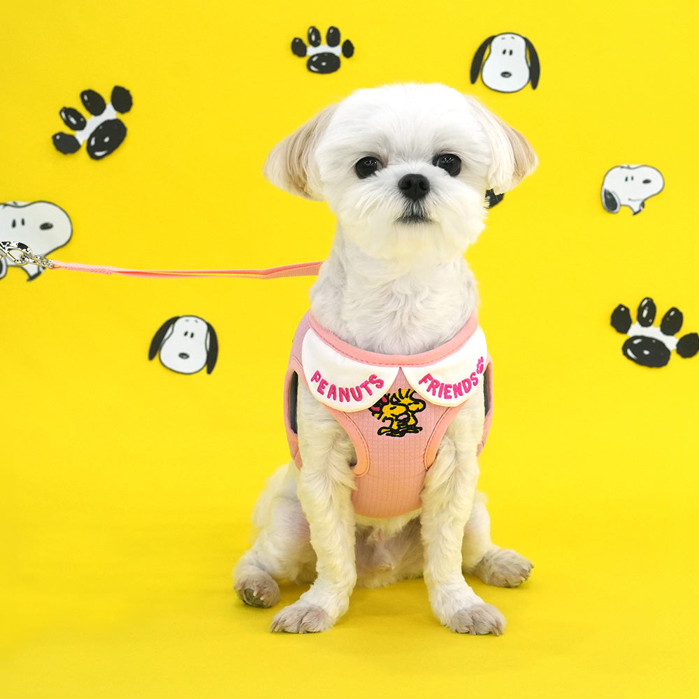 Peanuts Solid Bib Harness