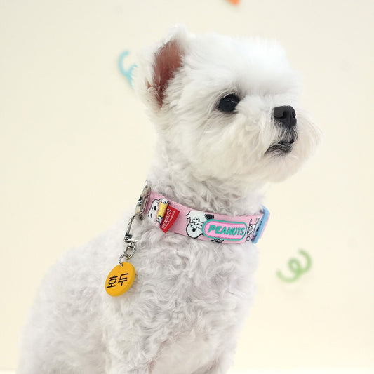 Peanuts Theme Collar