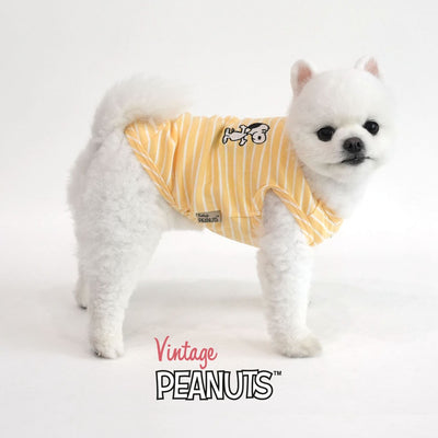 Peanuts Color Stripe T