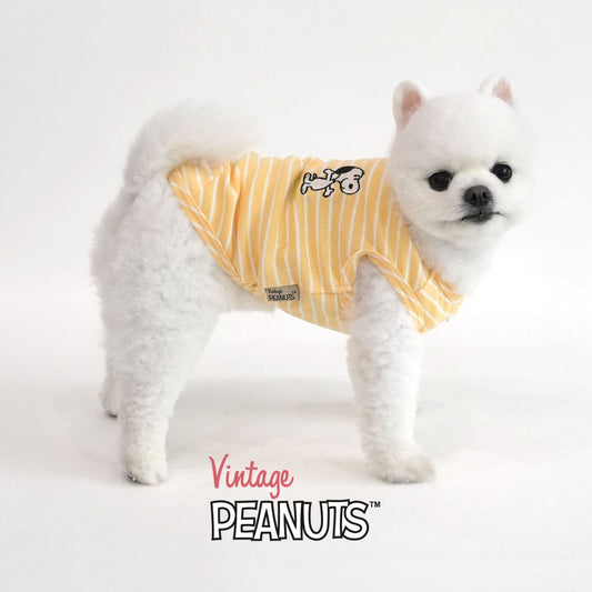 Peanuts Color Stripe T