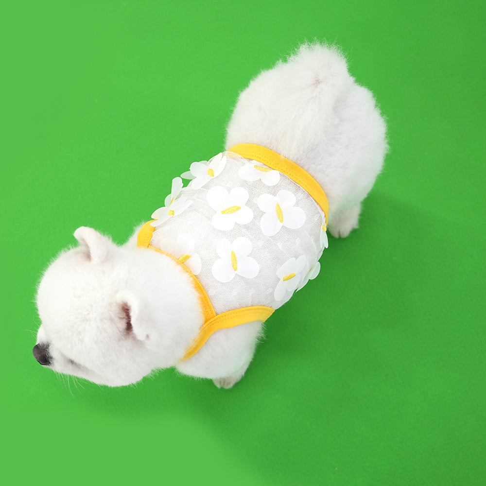 Butterfly Crop T-shirt