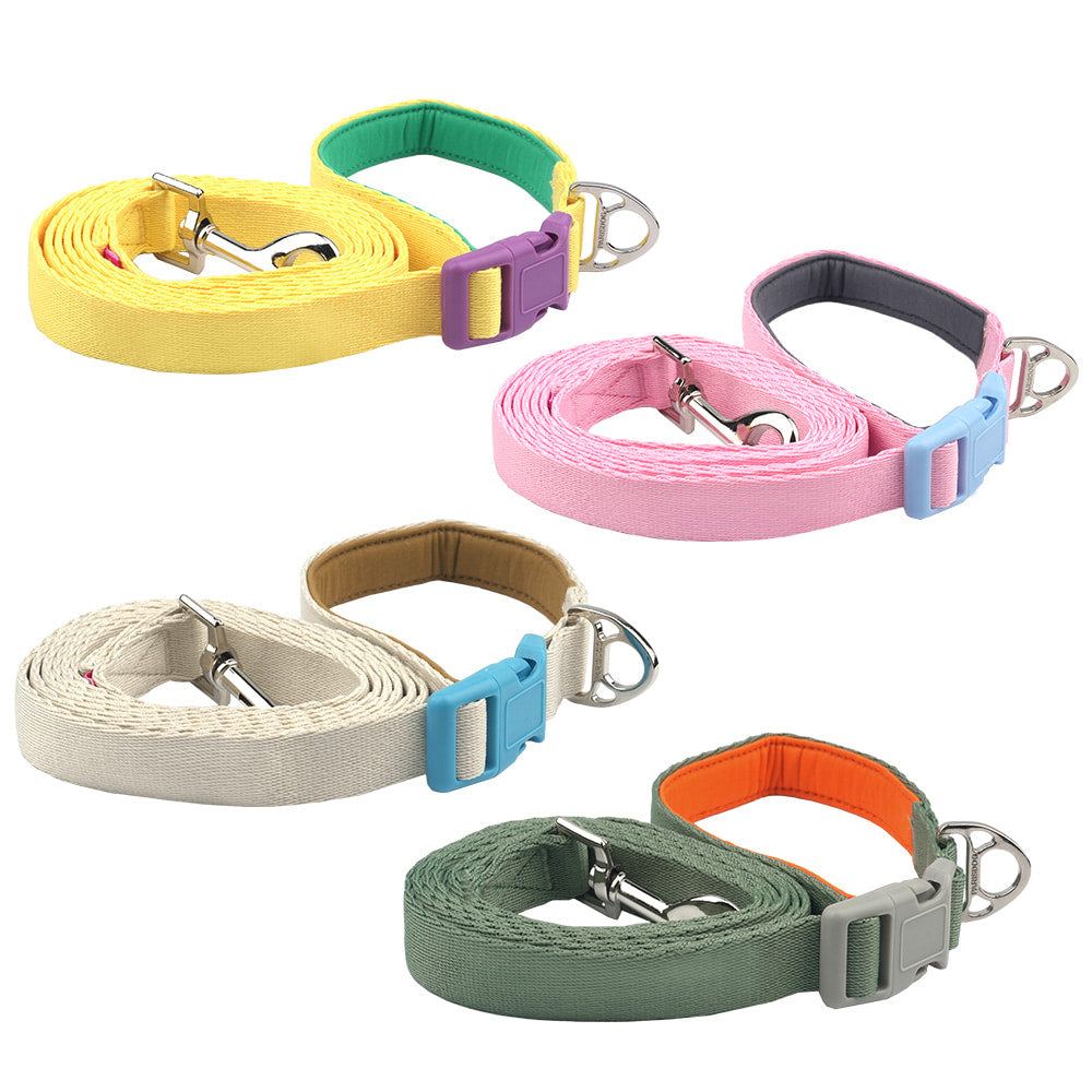 Color Webbing Leash